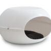 CUCCIA LUNA - immagine 2