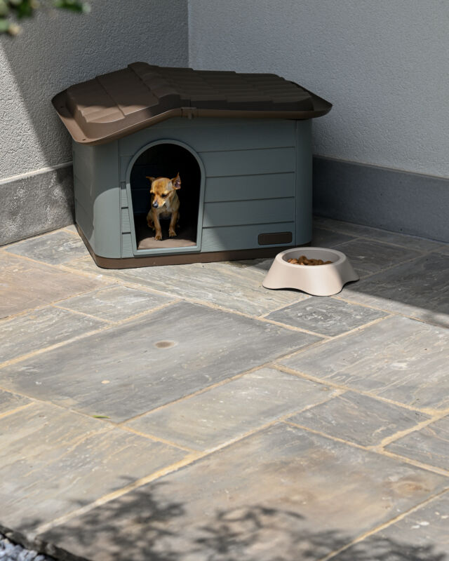 Maison De Toilette Pour Chat MP Bergamo - Design Italien Avec Filtre à Charbon Actif Jaune, Facile à Nettoyer - 9